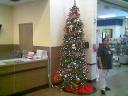 xmas07.jpg