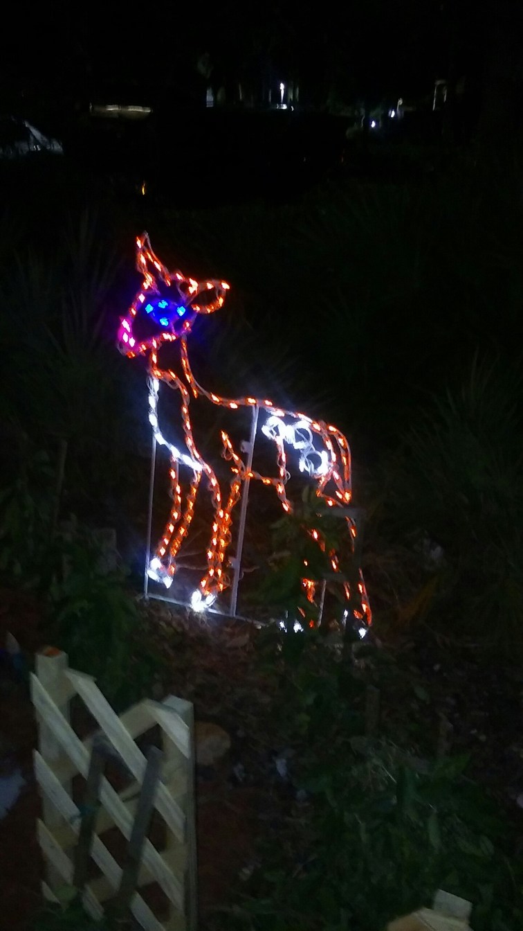 20151120_185510.jpg image