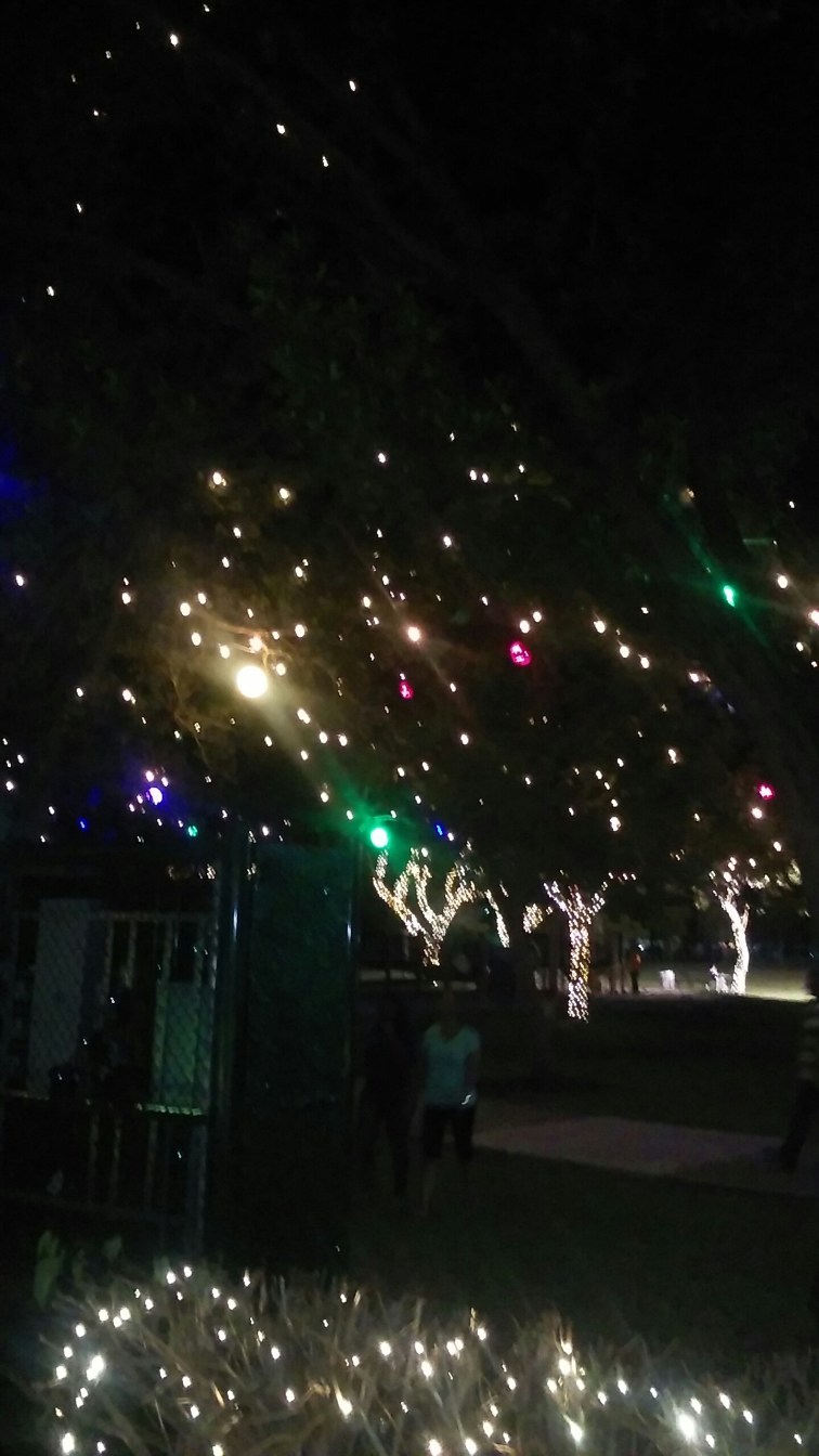 20151120_185559.jpg image