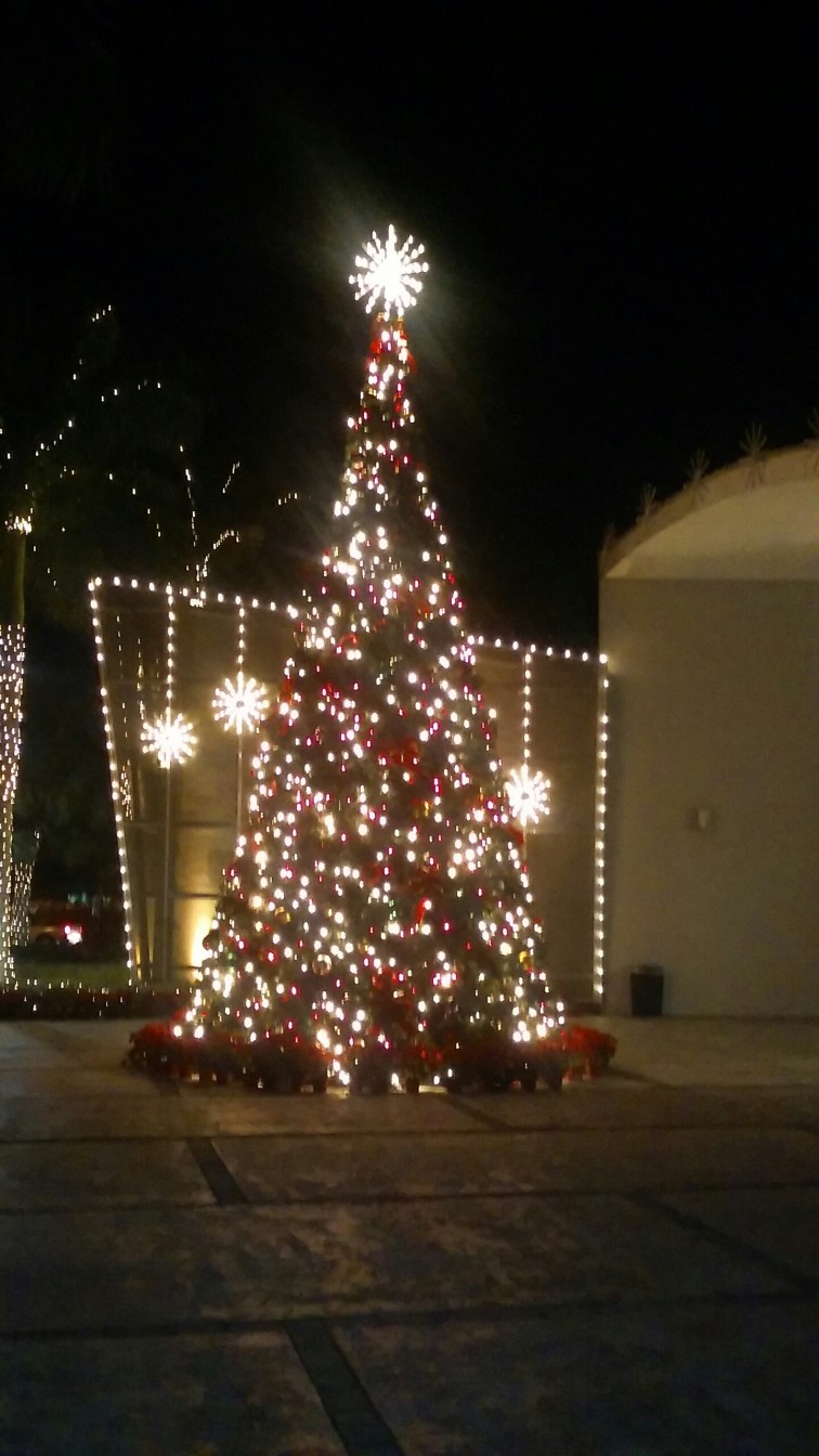 Message_1448063404482.jpg image