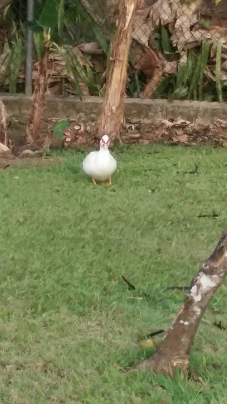 20160312_171800.jpg image