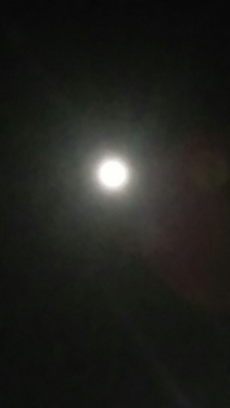 20160421_211550.jpg image