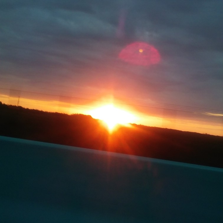 IMG_20160506_071307.jpg image