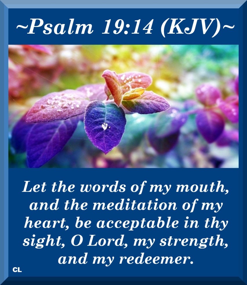 Psalms 19:14 KJV Hallelujah and Maranatha Amen!!