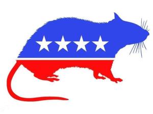 Democrat rat
