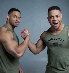 hodge twins