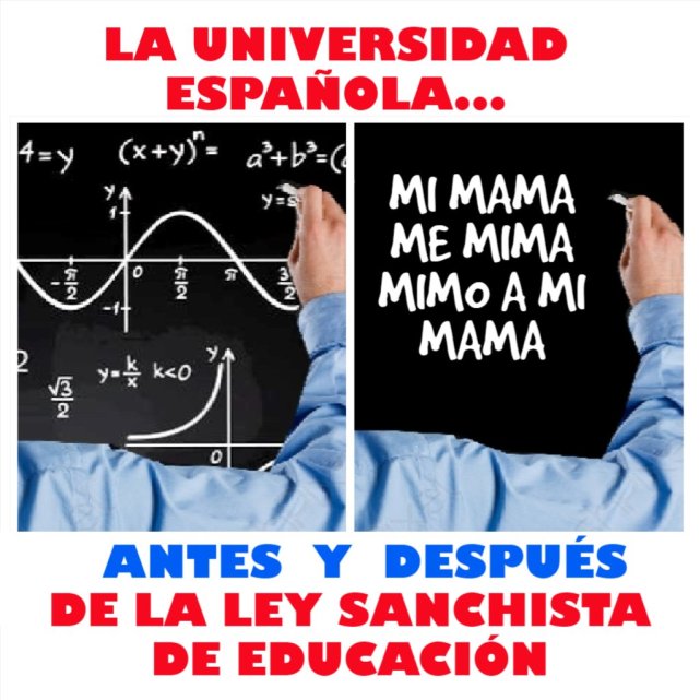 Universidad