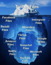 democrats and big tech ice berg