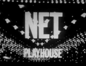 net playhouse logo